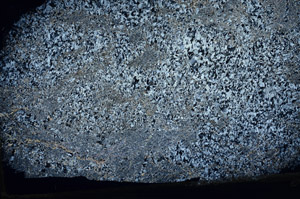 Cross Polarized, N8658