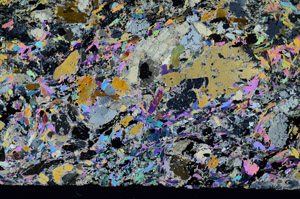 Cross Polarized, N8682