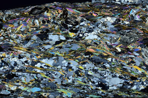 Cross Polarized, N8685