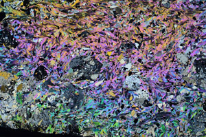Cross Polarized, N8687