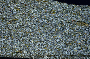 Cross Polarized, N8697