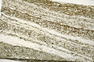 Plane Polarized, N8723
