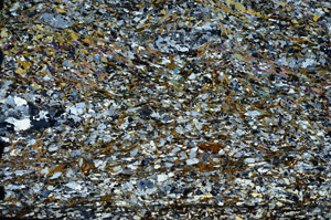 Cross Polarized, N8730