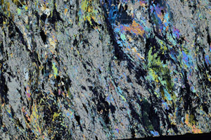 Cross Polarized, N8794