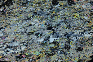 Cross Polarized, N8796
