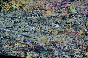 Cross Polarized, N8799