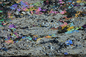 Cross Polarized, N8805