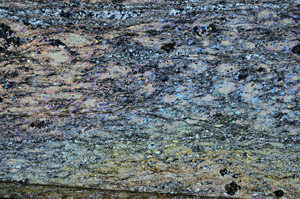 Cross Polarized, N8810