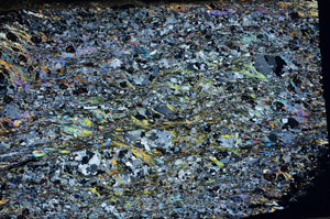 Cross Polarized, N8820
