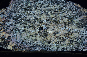 Cross Polarized, N8824