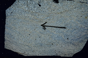 Cross Polarized, N8831