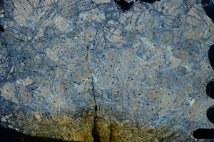 Cross Polarized, N8835