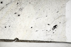 Plane Polarized, N8845