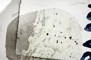 Plane Polarized, N8848