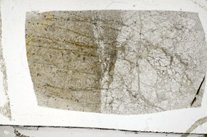 Plane Polarized, N8851
