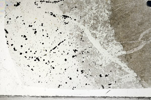 Plane Polarized, N8857