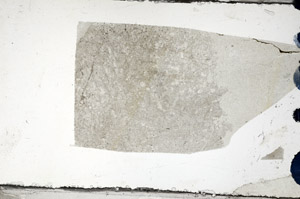 Plane Polarized, N8863