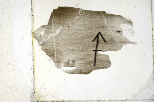 Plane Polarized, N8985