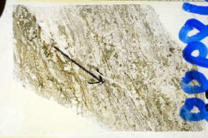 Plane Polarized, N8988