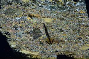 Cross Polarized, N8990/A