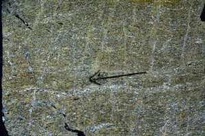 Cross Polarized, N8992/A