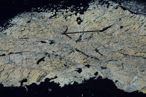 Cross Polarized, N9000