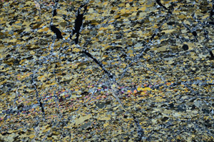 Cross Polarized, N9003
