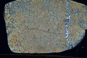 Cross Polarized, N9019