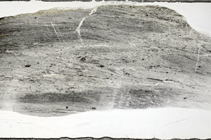 Plane Polarized, N9026