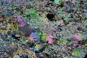 Cross Polarized, N9036