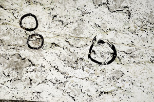 Plane Polarized, N9041