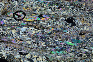 Cross Polarized, N9050