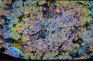Cross Polarized, N9057