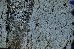 Cross Polarized, N9122