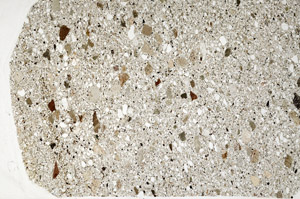 Plane Polarized, N9163