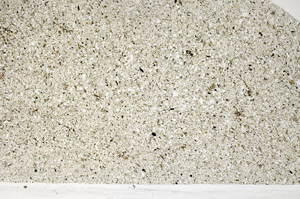 Plane Polarized, N9166