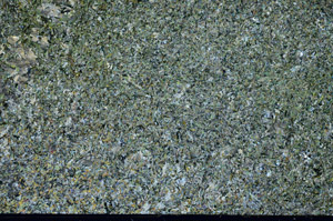 Cross Polarized, N9197