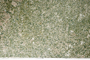 Plane Polarized, N9197