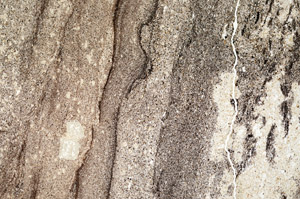Plane Polarized, N9223