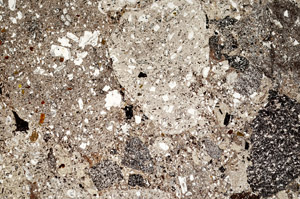 Plane Polarized, N9231