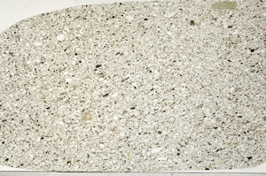 Plane Polarized, N9299