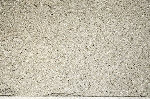 Plane Polarized, N9300