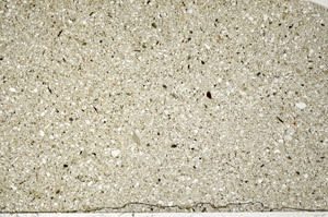 Plane Polarized, N9302