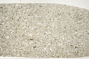 Plane Polarized, N9307