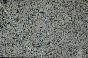 Cross Polarized, N9311