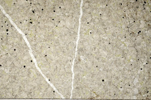 Plane Polarized, N9311