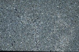 Cross Polarized, N9313