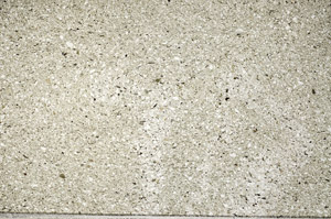 Plane Polarized, N9313