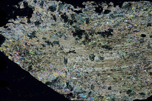 Cross Polarized, N9330