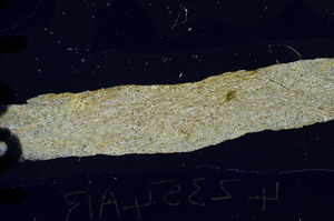 Cross Polarized, N9362